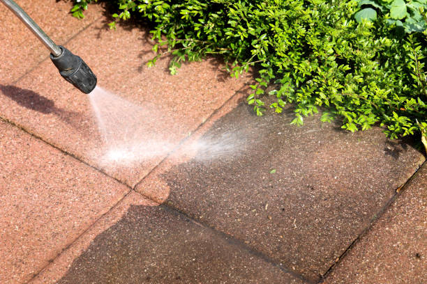 Best Pressure Washing Company Near Me  in Morse, LA